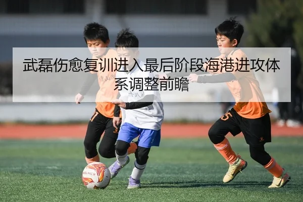 武磊伤愈复训进入最后阶段海港进攻体系调整前瞻